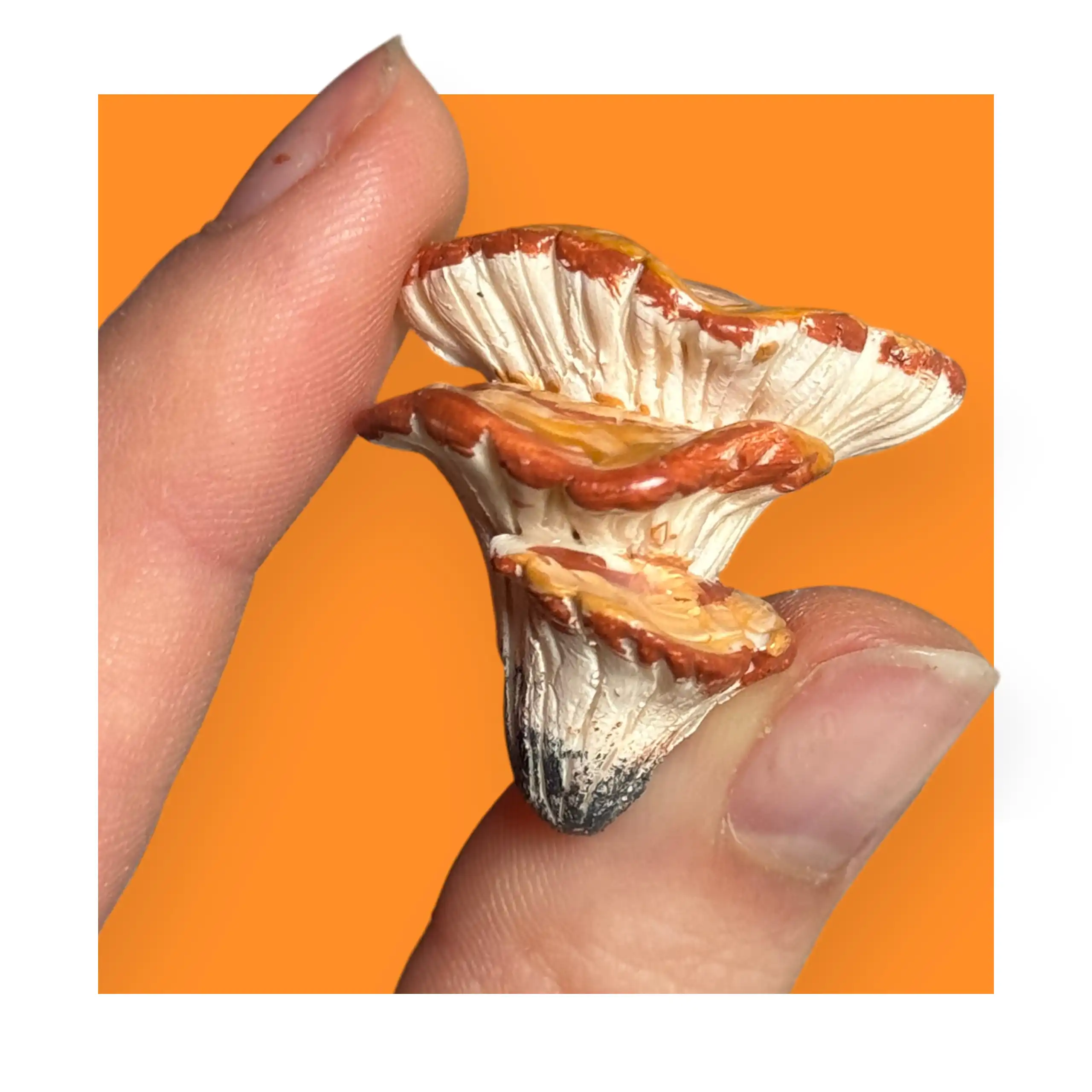 shbs Pin hubowaty - obrazek 1