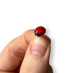 Pin BIEDRONECZKA